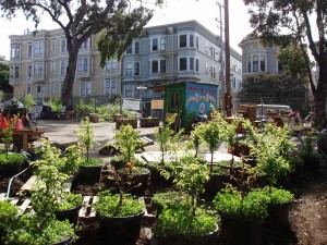 Urban agriculture: let a thousand flowers bloom